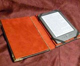 Game of Thrones Cases