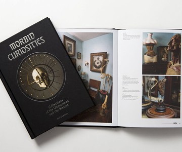 Morbid Curiosities: The Uncommon & the Bizarre