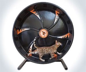 Cat Hamster Wheel Cat Hamster Wheel