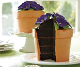 Blooming Flower Pot Cake