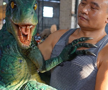 Dinosaur Arm Puppets Dinosaur Arm Puppets