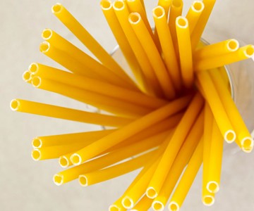 Stroodles Biodegradable Pasta Straws Stroodles Biodegradable Pasta Straws