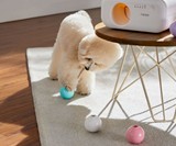 TREATOI Automatic Treat Ball Dispenser