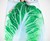 3D Fruit & Vegetable Comforters 3D Fruit & Vegetable Comforters