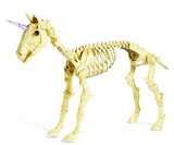 Unicorn Skeleton