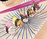 Sushi Cat Keychains
