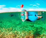 Easybreath Snorkeling Mask