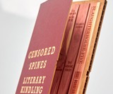 Censored Spines: Literary Kindling