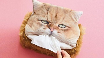 Tissue Tissue