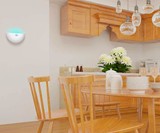 Wall Sconce Fly Trap