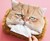Kleenex-Munching Cat Tissue Box Cover