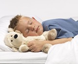 Microwaveable Heat Therapy Stuffed Animals