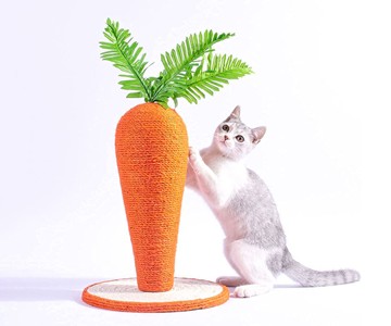Carrot Cat Scratching Post