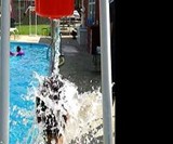 Soak 'N' Wet Dunk Tank