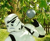 Death Star Birdhouse
