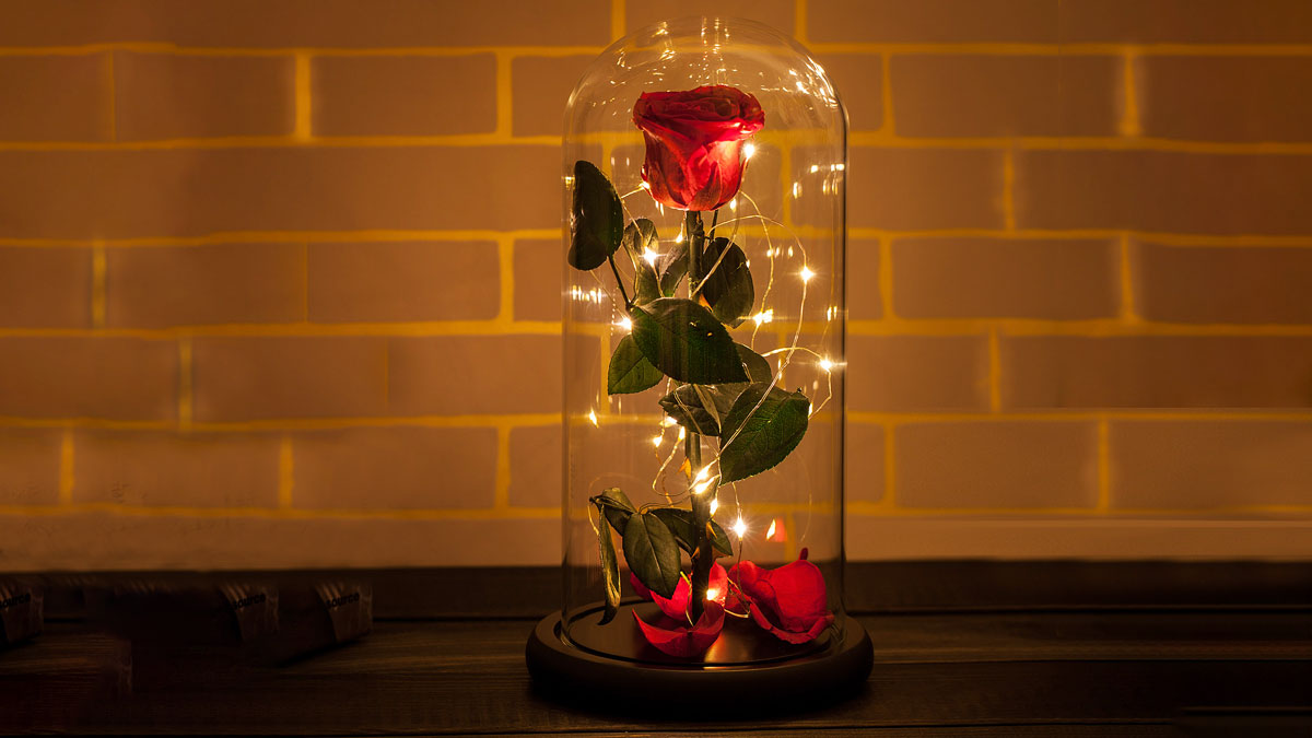 Rosephoria Beauty & the Beast Dome