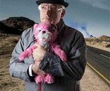 Breaking Bad Pink Teddy Bear