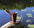 Bripe Coffee Brew Pipe