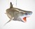 Life Size Hanging Shark Sculpture