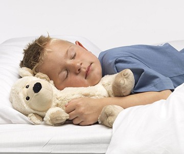 Microwaveable Heat Therapy Stuffed Animals Microwaveable Heat Therapy Stuffed Animals