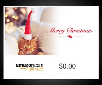 Amazon.com E-Gift Cards Amazon.com E-Gift Cards