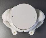 Google Home Muscles