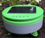 Tertill Solar-Powered Weeding Robot