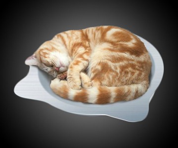 Cat Cool Pot Bed Pet Cooling Tray Cat Cool Pot Bed Pet Cooling Tray