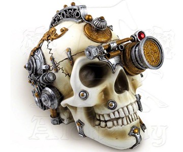 Erasmus Darwin's Steam-Cerebrum Skull Erasmus Darwin's Steam-Cerebrum Skull