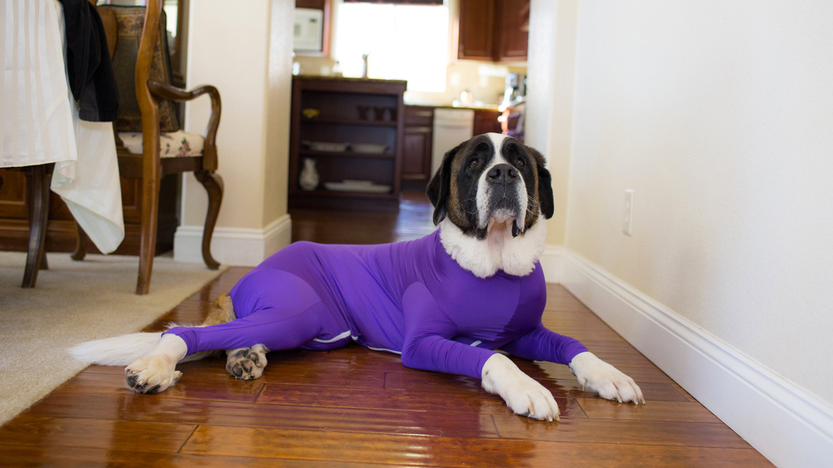Shed Defender Dog Onesie Shed Defender Dog Onesie