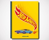 Hot Wheels Book