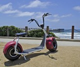 Phat Scooters