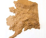 US State 3D Wood Topographic Maps