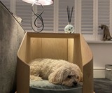 Doze Side Table & Dog Bed