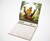 2019 Dragon Sex Wall Calendar 2019 Dragon Sex Wall Calendar