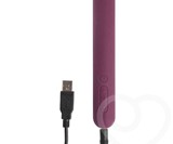 Svakom Gaga Selfie Vibrator with HD Camera