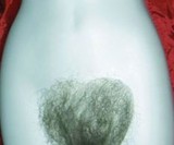 The Original Pussycat Patch Crotch Wigs (NSFW)