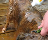 Clean Water Fun Garden Hose Filter