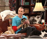 Guys Can Be Cat Ladies Too