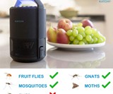 KATCHY Indoor Insect Trap