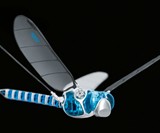 BionicOpter Advanced RC Dragonfly