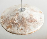 Mushroom Mycelium Pendant Light