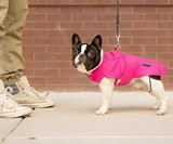 Django City Slicker Water-Repellent Dog Raincoat