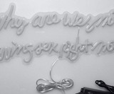 Why Are We Not Having Sex Right Now? Neon Sign