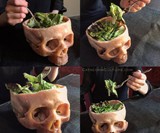 Human Skull Bowl