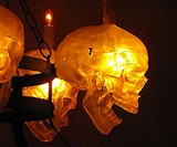 Skull Chandelier