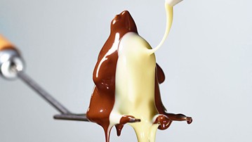 Chocolate Penguins Chocolate Penguins