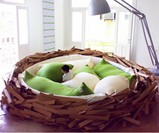 Boy Playing in Bird's Nest Bed