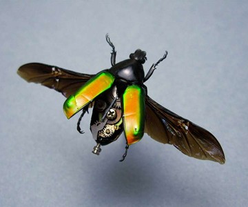Steampunk Insects