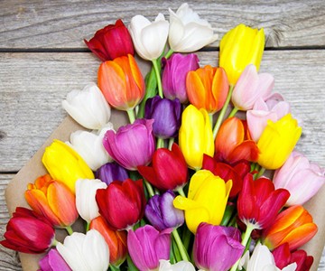 The Bouqs Company Flower Bouquets The Bouqs Company Flower Bouquets